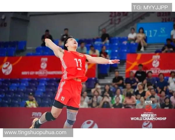 专访杨静：探寻排球赛场背后的成功秘诀与心路历程