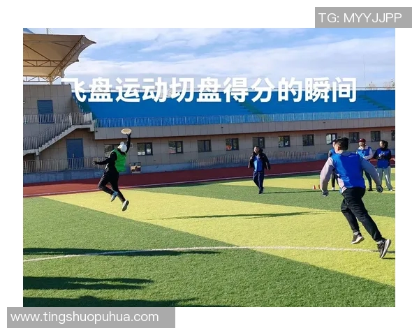 深圳飞盘队的团队协作之道:如何在飞盘运动中实现默契与配合