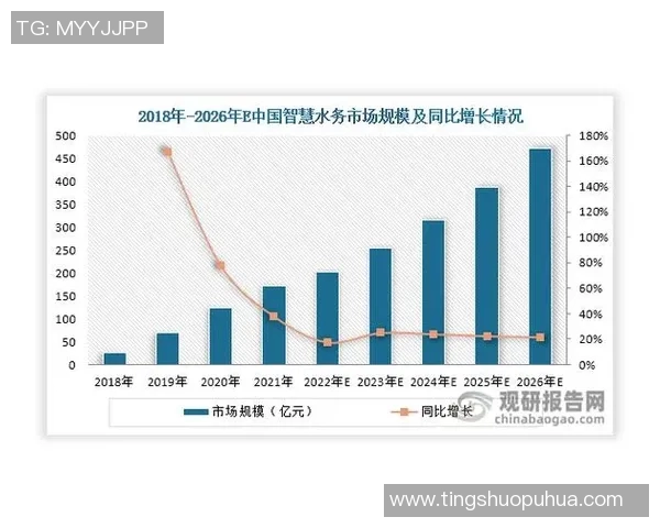 广州羽毛球队的运营策略与市场推广深度分析