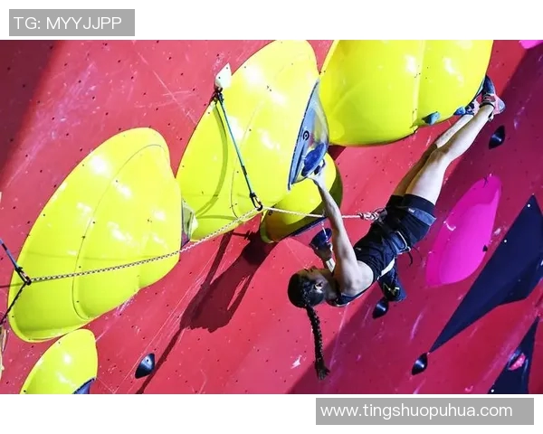 南京攀岩队实力强劲荣登全国攀岩实力排行榜第七名