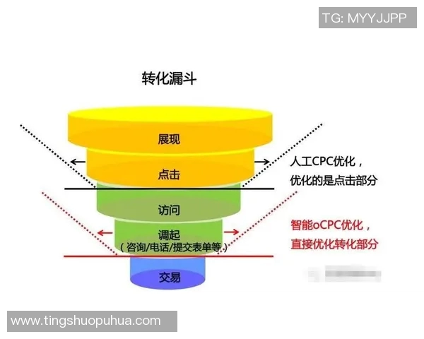 深入分析上海排球队的运营策略与市场推广模式