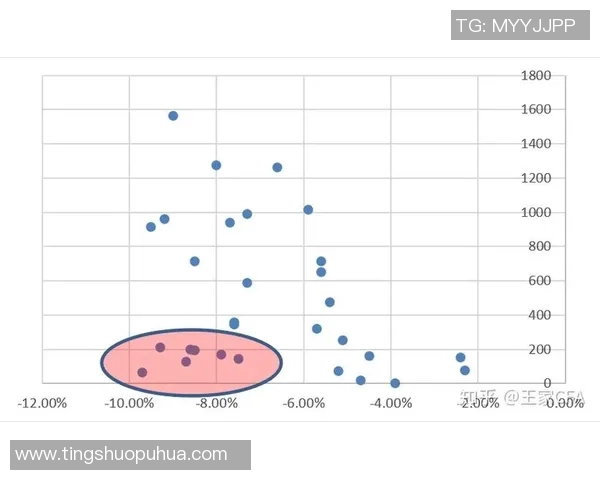 南京排球队实力飙升再创新高引发全国关注与期待