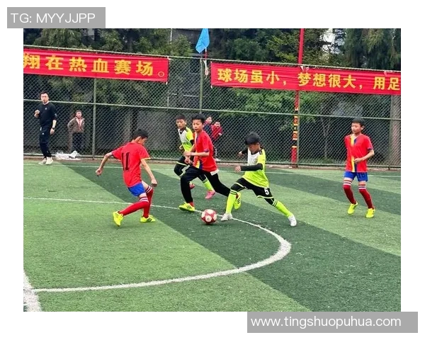 足球名将的传奇人生与时代足迹：从绿茵场到全球舞台的辉煌征程